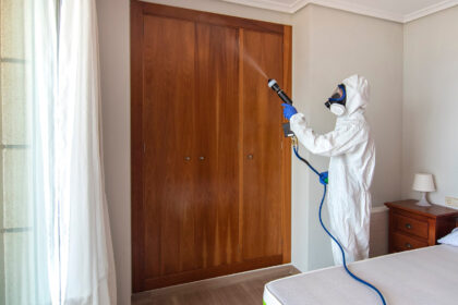 Punaises de lit : les meilleures solutions professionnelles pour s’en débarrasser